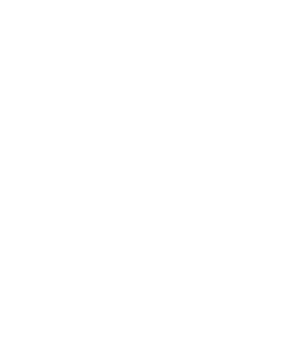 call icon